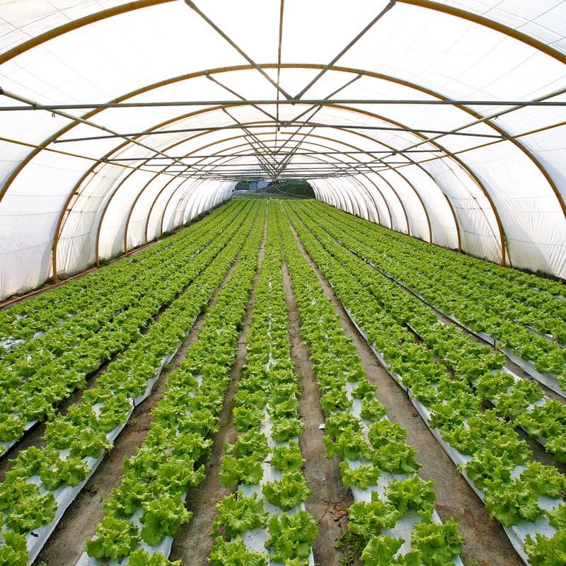 Lonas para agricultura en Lugo